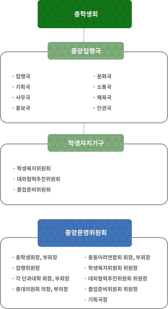 총학생회 아래 중앙위원회 회의 아래 중앙운영위원회(각 단대회장/부회장, 동아리 총연합회장/부회장, 기획국장, 집행위원장, 총대위원 회의장/부의장, 졸업 준비 위원회 위원장, 학생복지위원회 위원장, 대외협력 추진위원회 위원장), 중앙집행국(집행국, 기획국, 사무국, 문화국, 학술국, 체육국, 여성국, 홍보국), 학생자치기구(졸업 준비 위원회, 학생복지위원회, 대외협력추진위원회)가 있다.