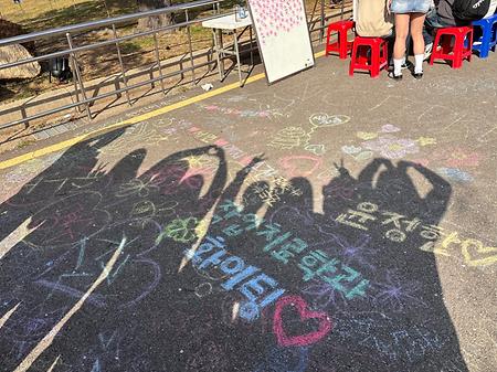 2024 봄 맞이 벚꽃 길 축제 차없는거리 행사